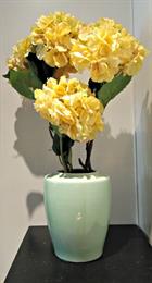 Yellow Hydrangea flowers
